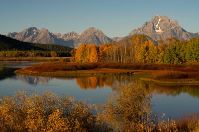 Tetons Autumn