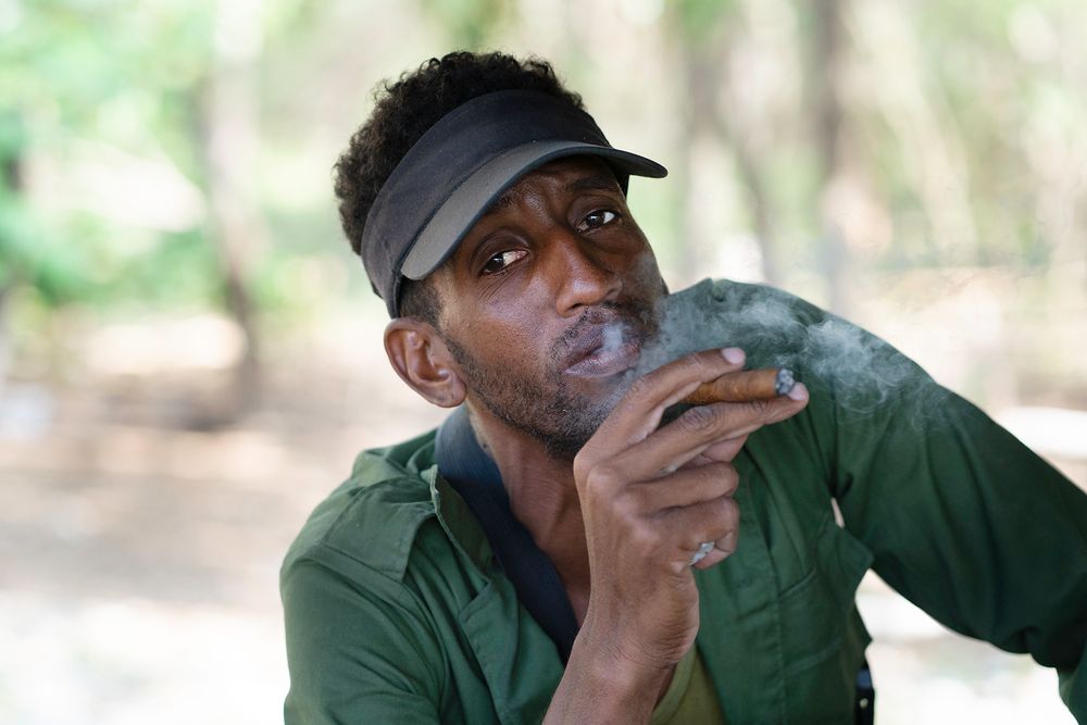 Cool smoker