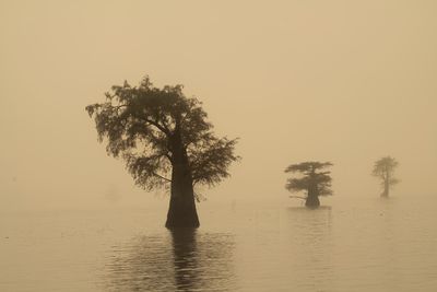 MysticLake