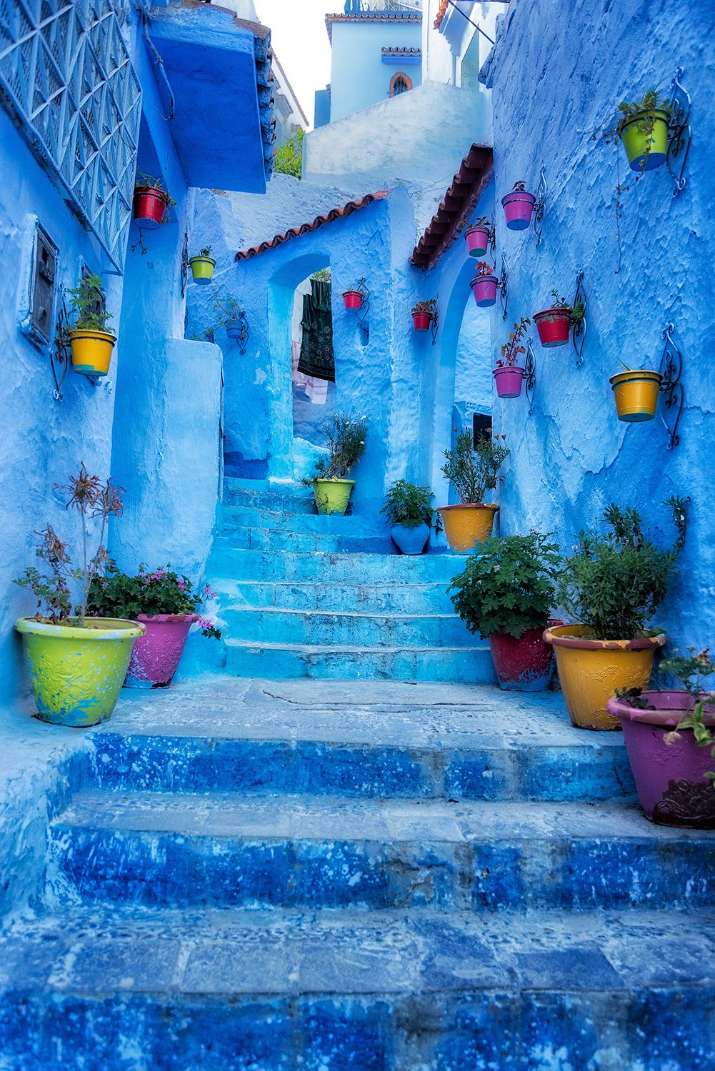 Blue steps vertical.jpg