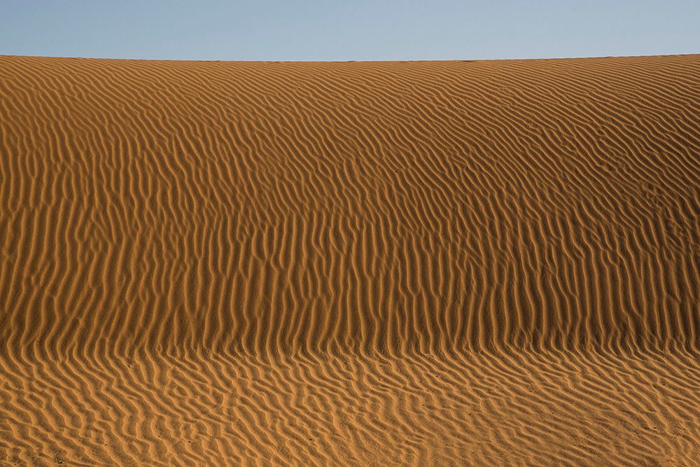 desert photo