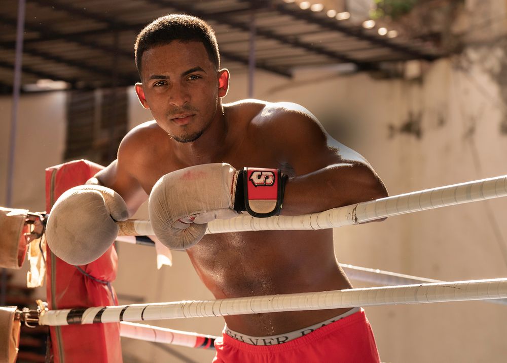 The Boxer
