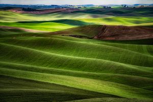 Rolling green fields