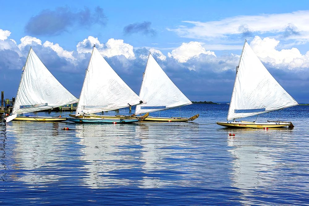 White Sailboats