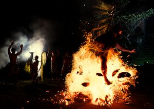 Fire Horse Dance Run