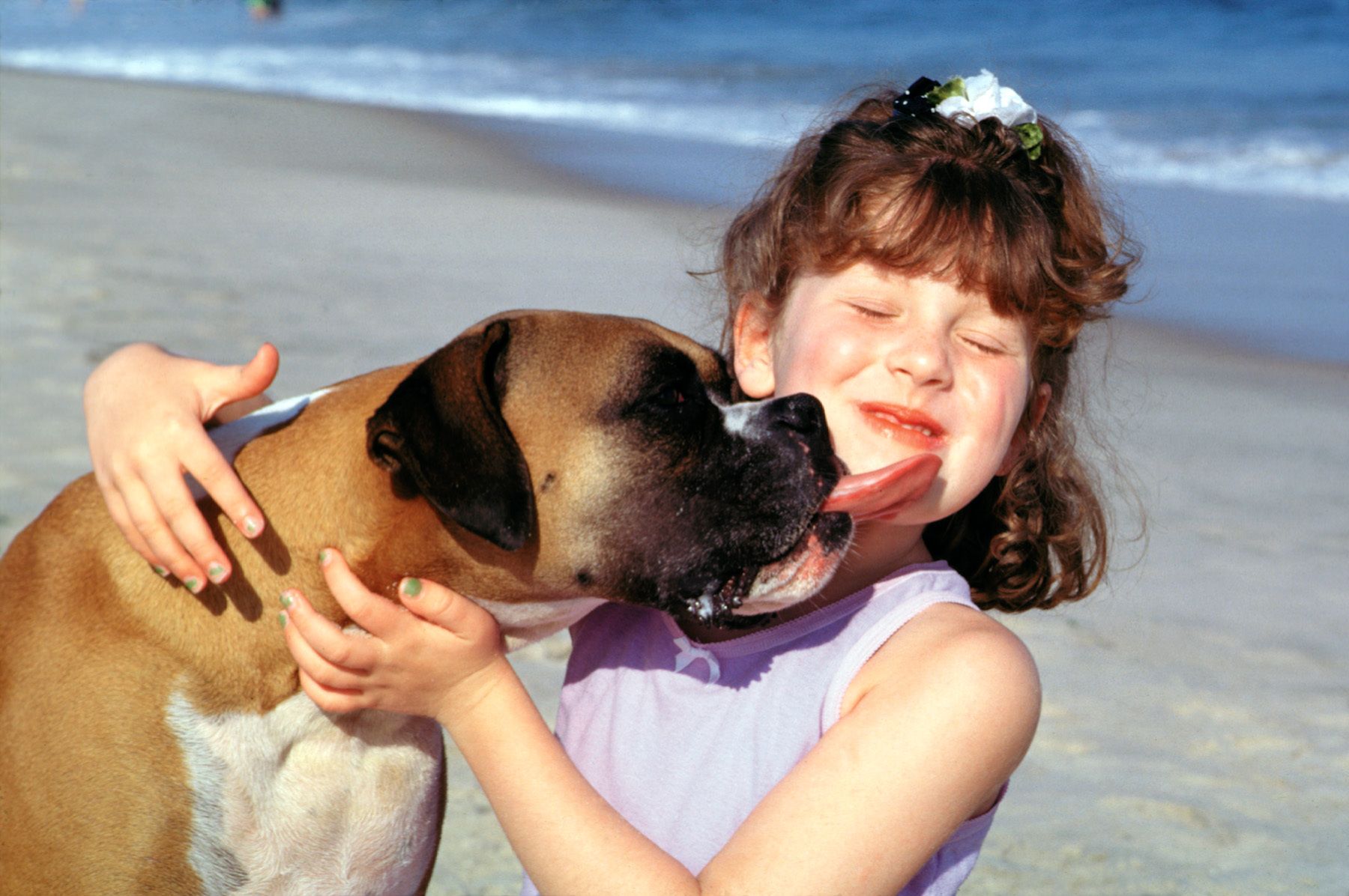 a dog is a girl's best friend a dog is a girl's best friend