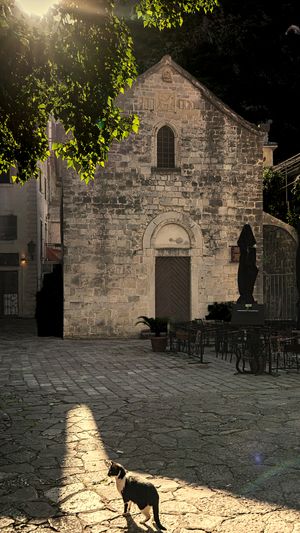 Church with Cat