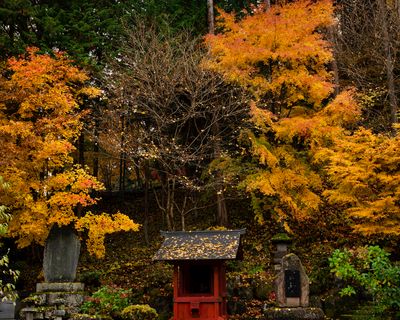 Suwa Shrine