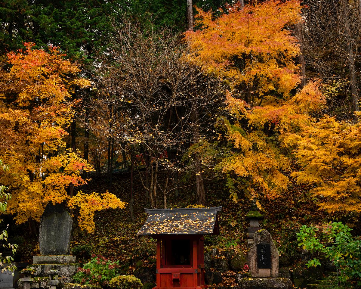 Suwa Shrine.jpg