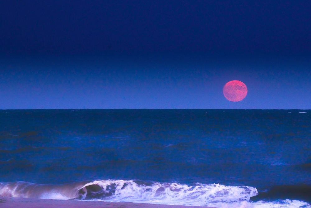 Harvest Moon Rising