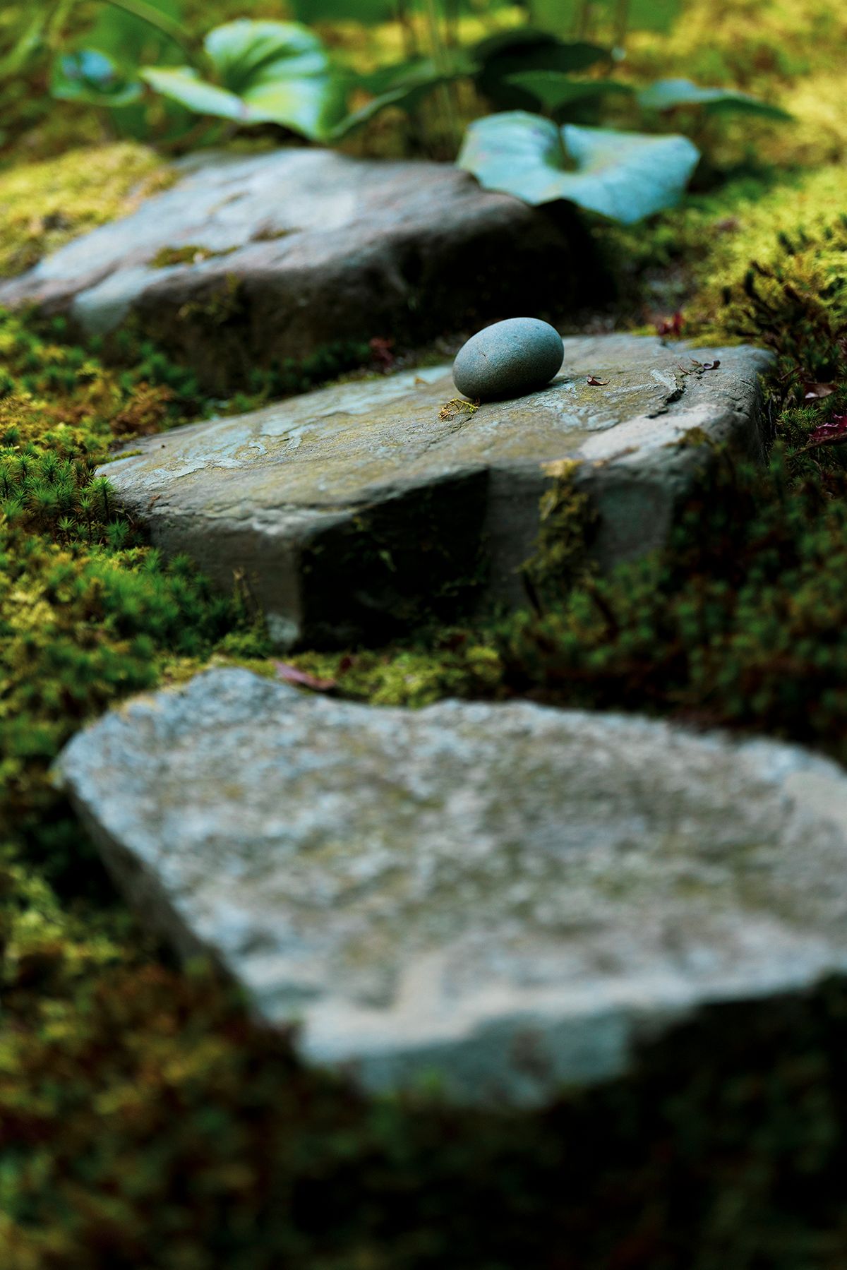 At the Moss Garden, Kyoto One Rock