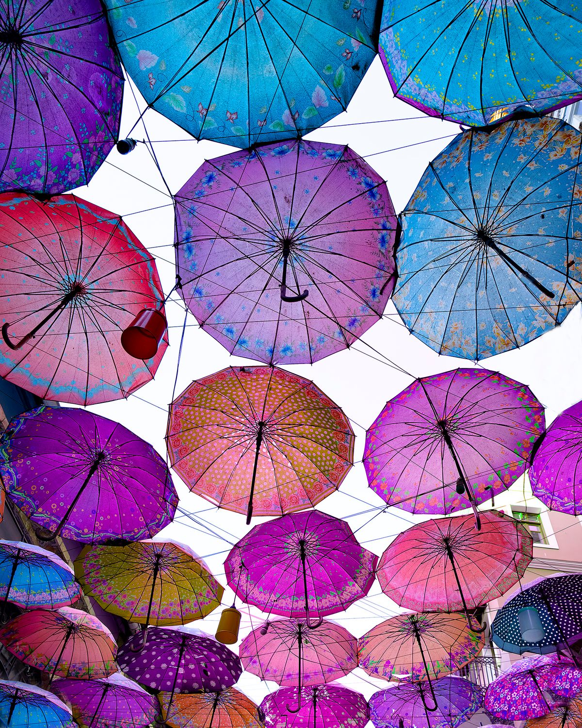 Umbrellas