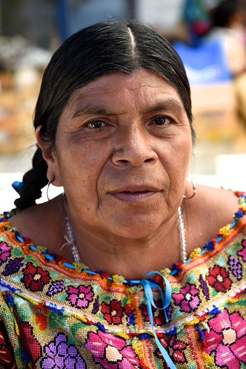 Portrait of Mexican Woman with braids Portrait of Mexican Woman