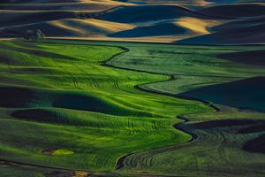 Steptoe Butte at sunset