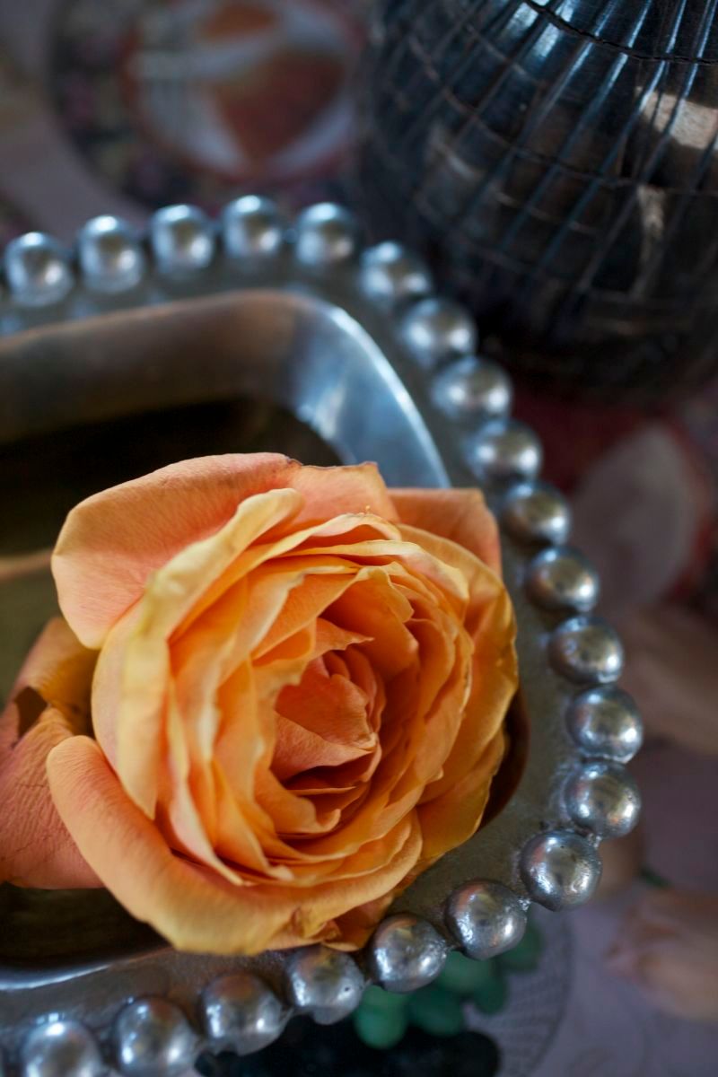 1ss_motana_still_02_002