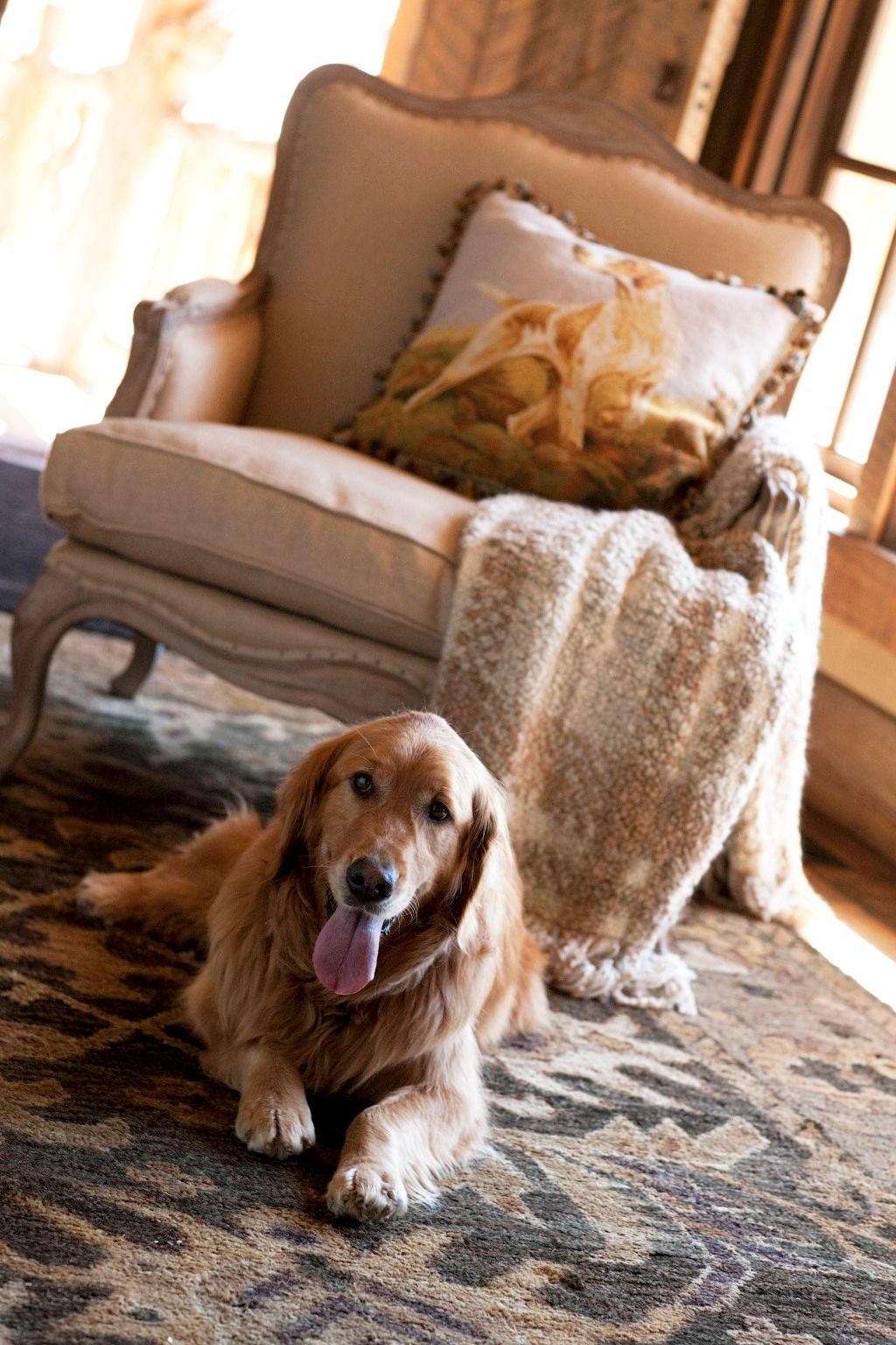 1soft_heide_jpegs_57