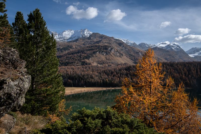 DSC_6627.jpg