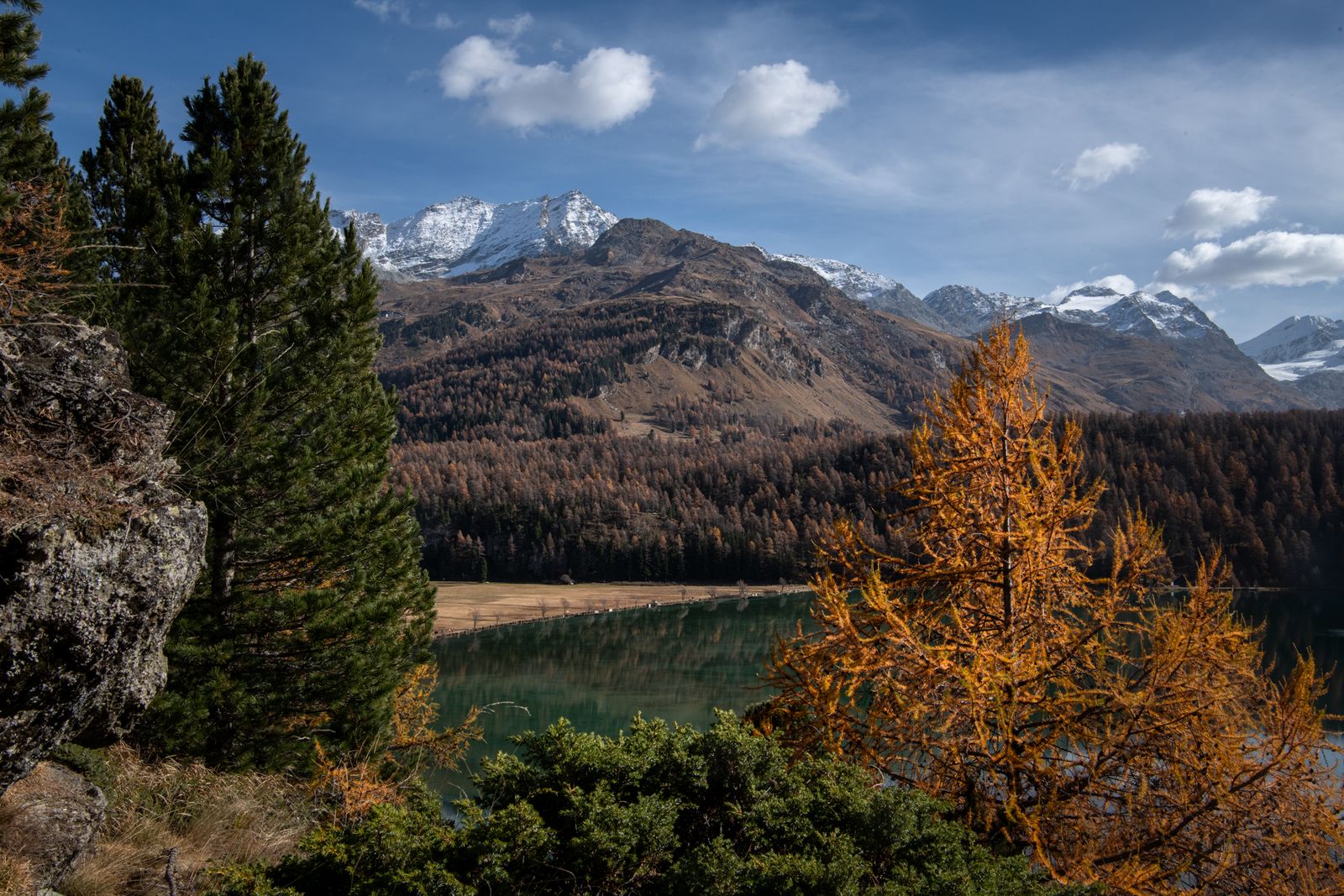 DSC_6627.jpg