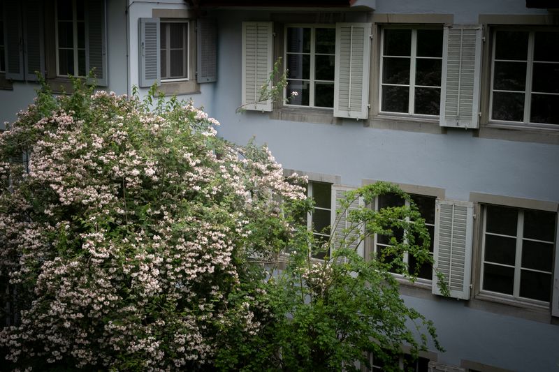 L1004230.jpg