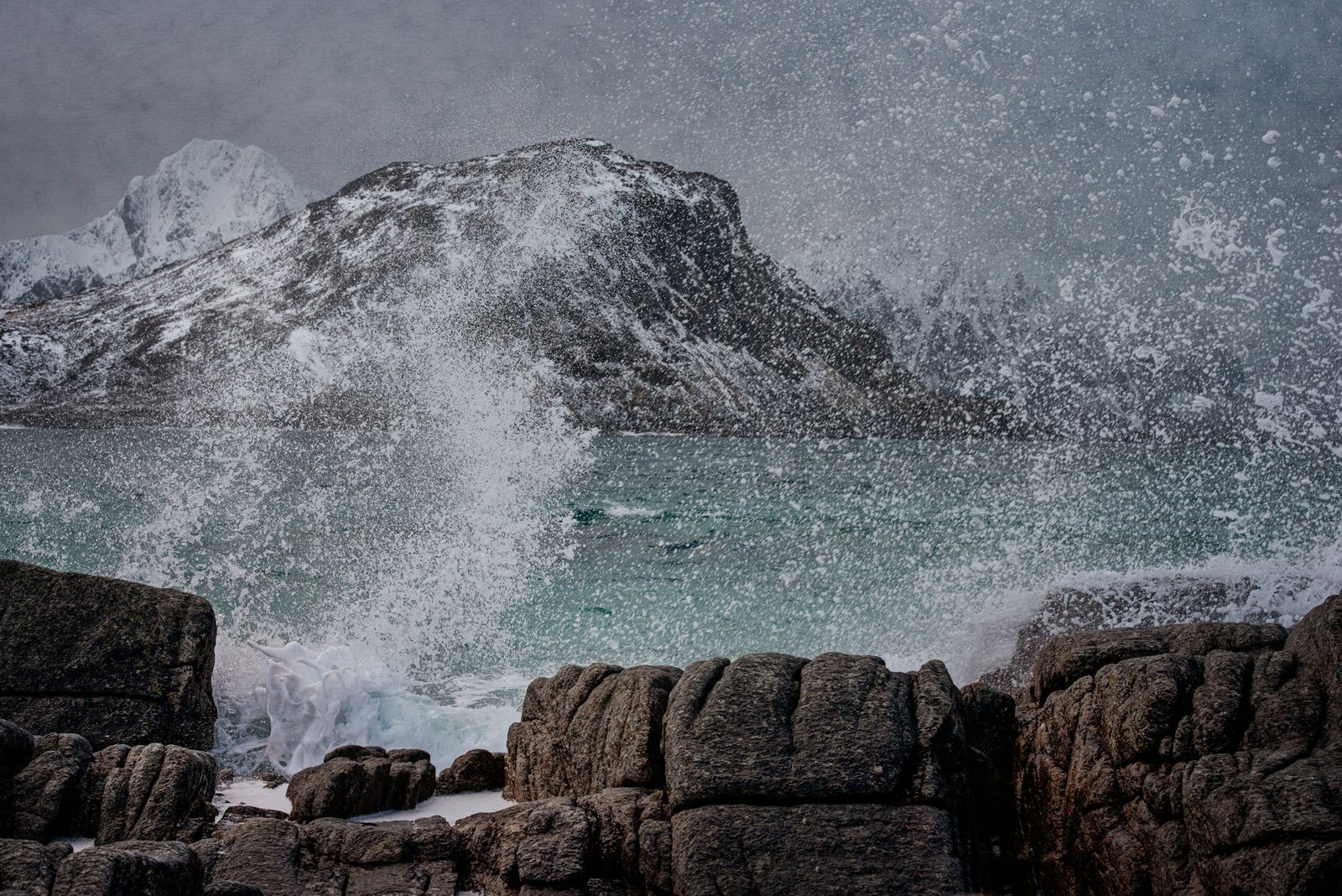 _DSC4617-Edit copy.jpg