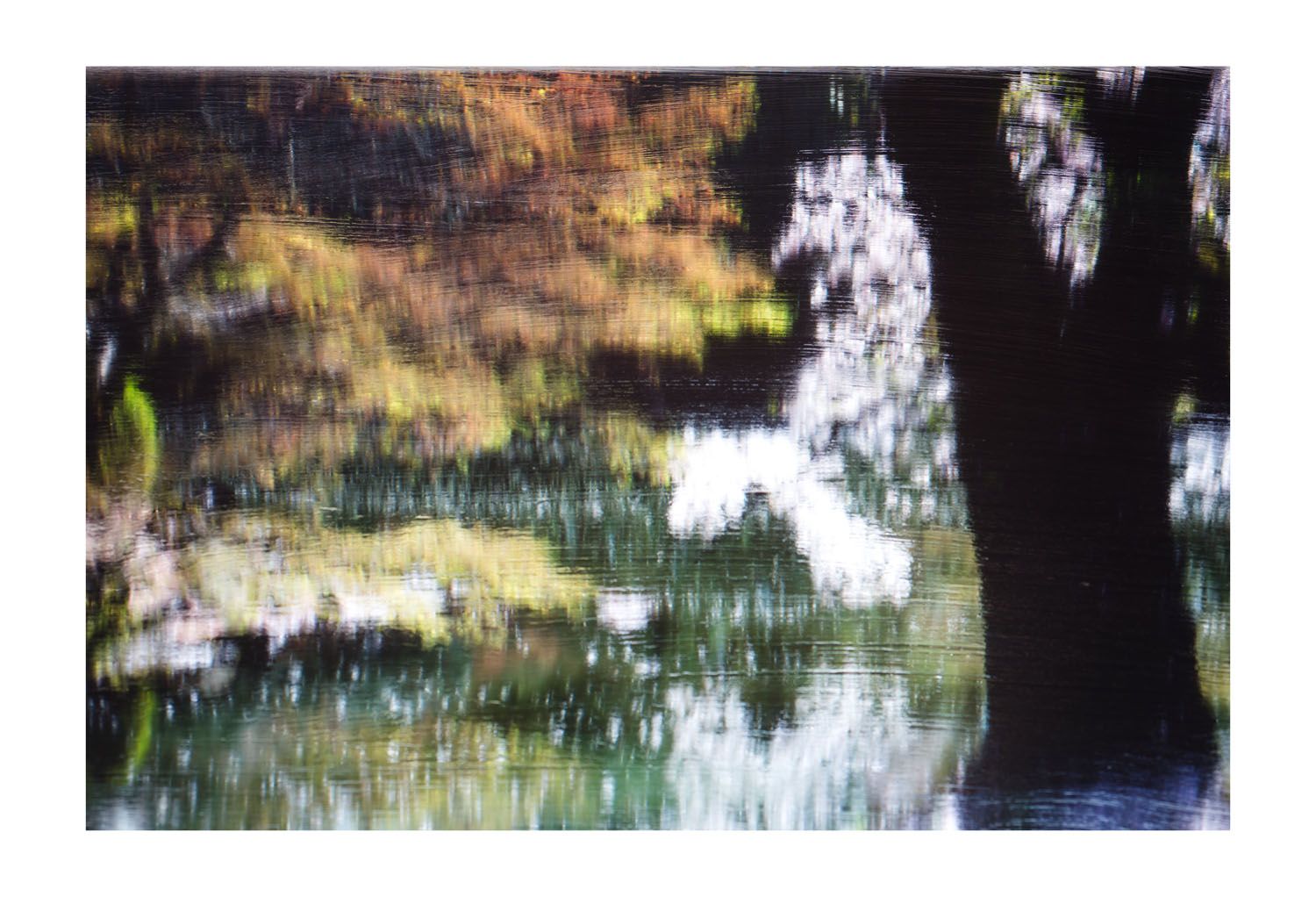 In The Shadow Of The Cherry Blossom - Diptych I Part 2