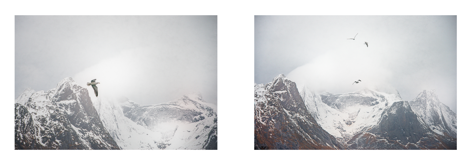 Screenshot 2026-03-05 at 15.43.38.png