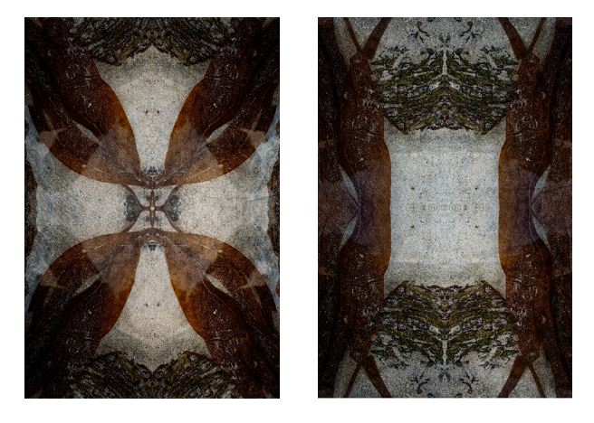 Screenshot 2026-03-05 at 15.16.53.png