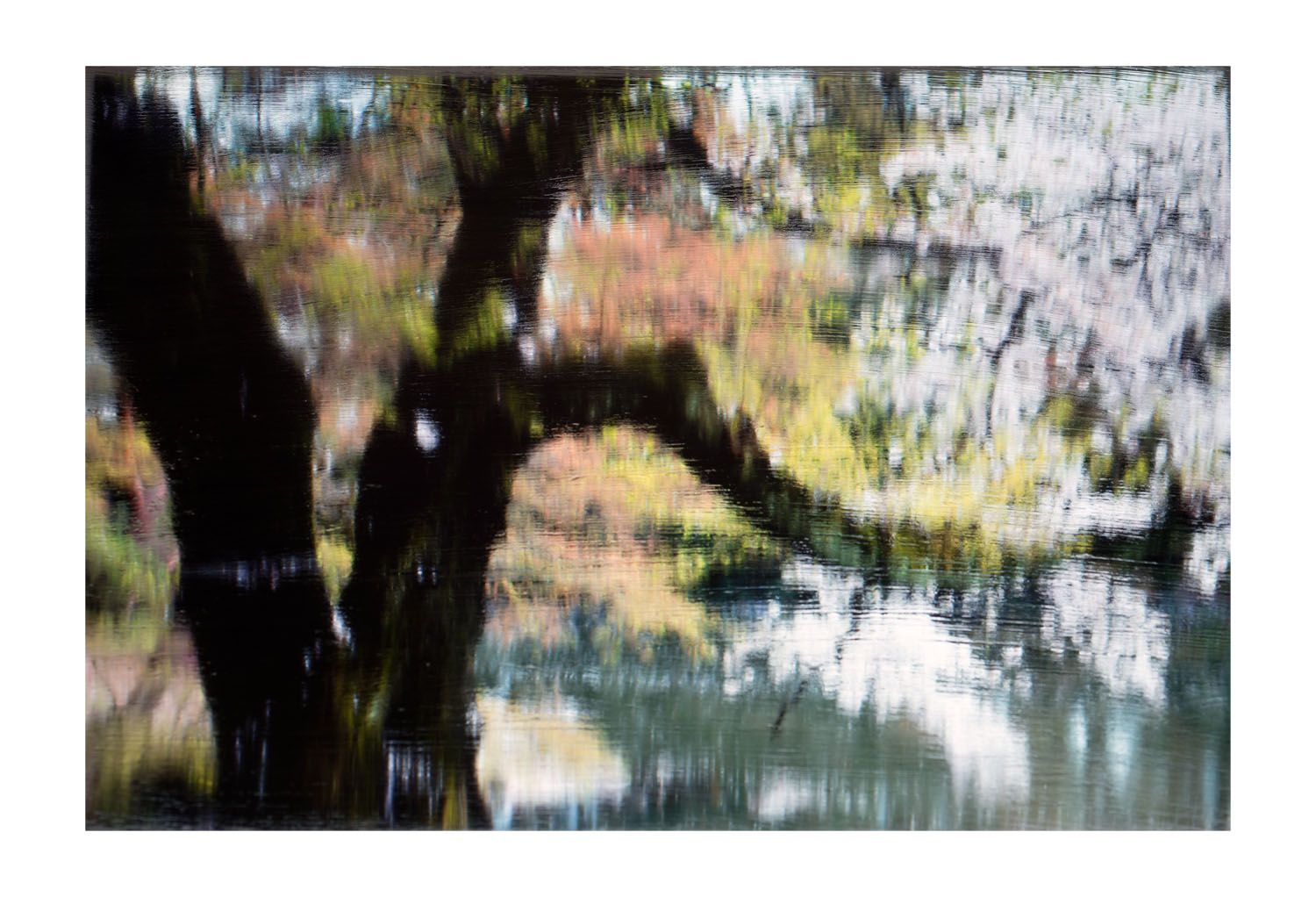 In The Shadow Of The Cherry Blossom - Diptych I Part 1