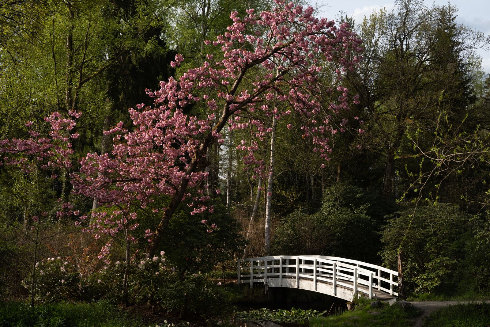L1005959.jpg