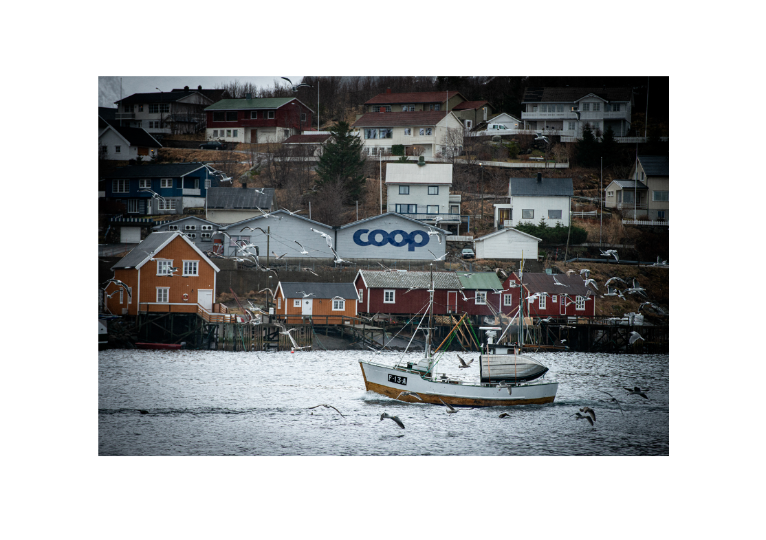 Screenshot 2026-03-05 at 16.11.01.png