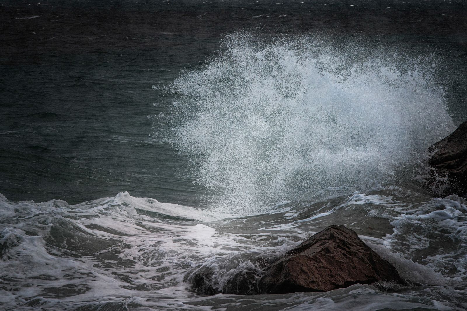 _DSC4537-Edit copy2.jpg