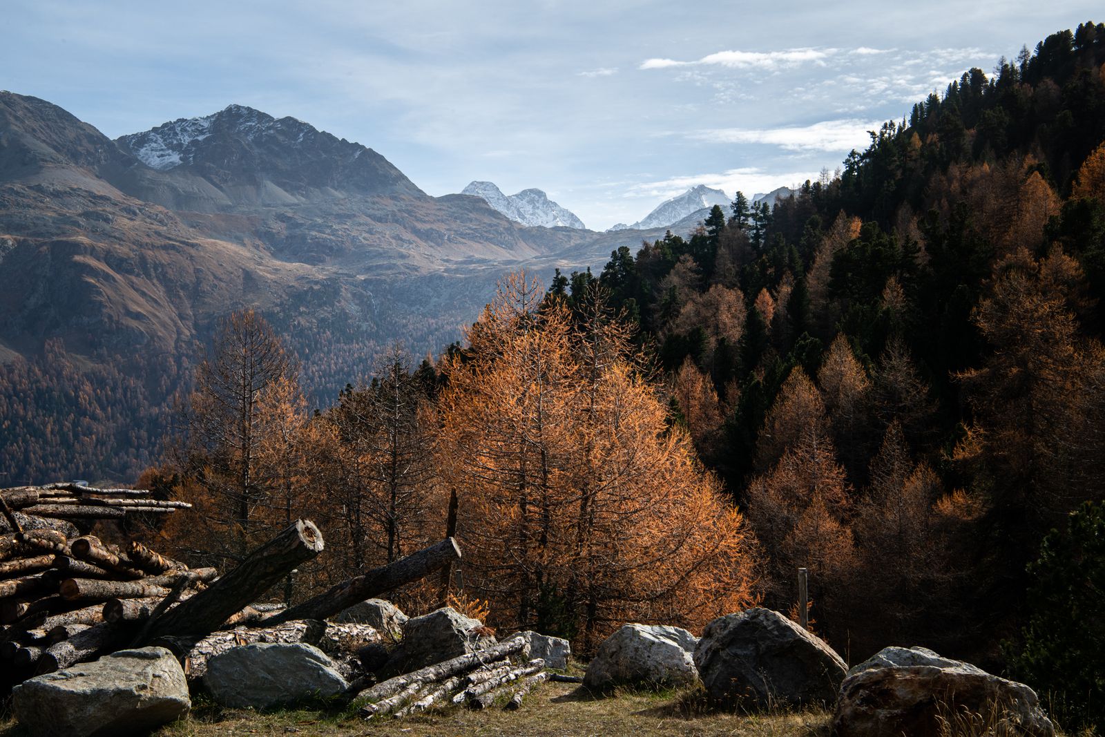 DSC_6568.jpg