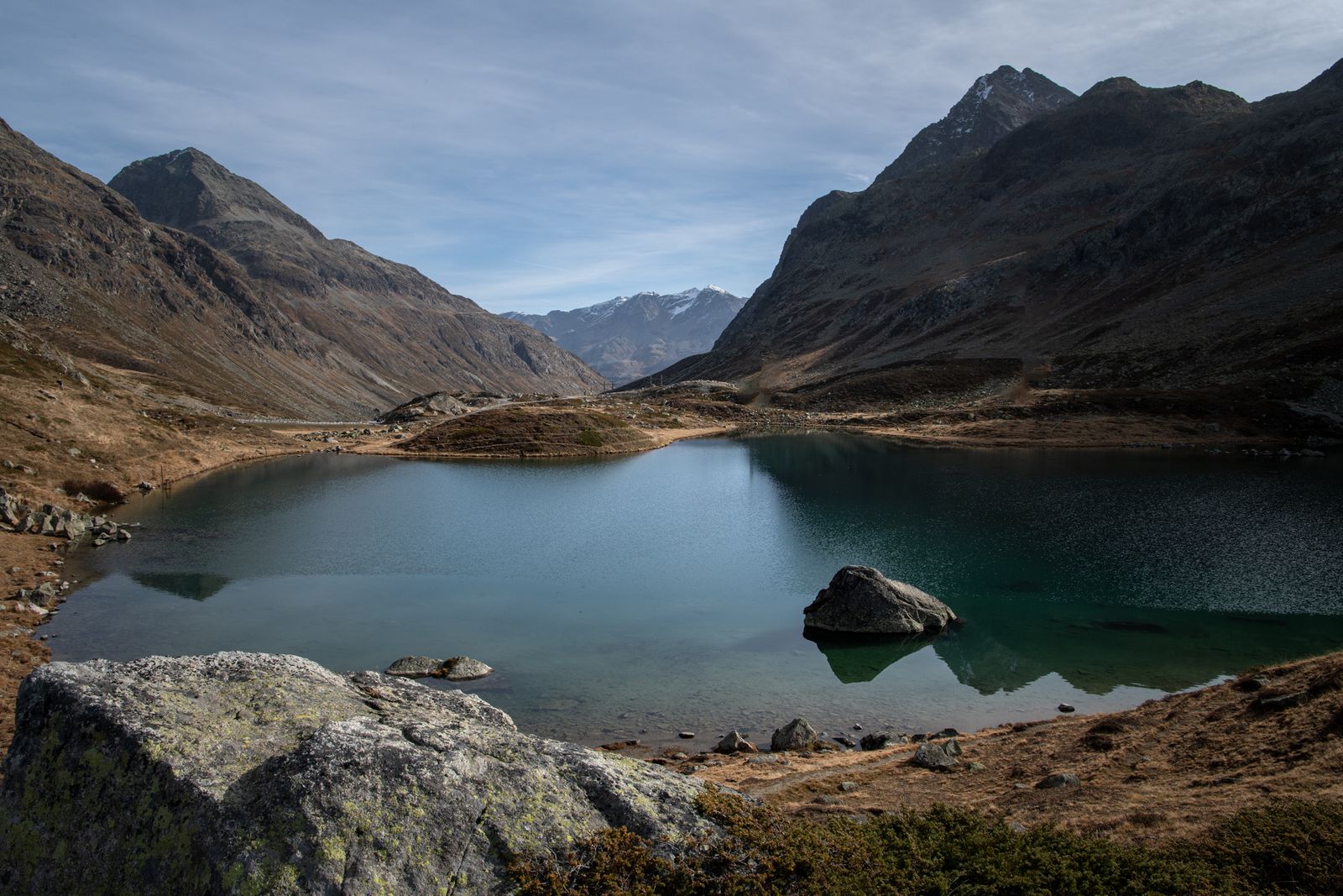 DSC_6554.jpg