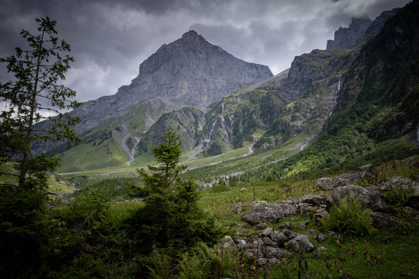 L1003164.jpg