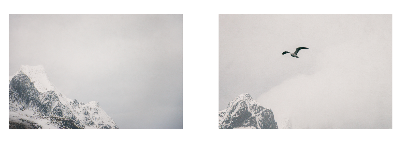 Screenshot 2026-03-05 at 15.43.25.png