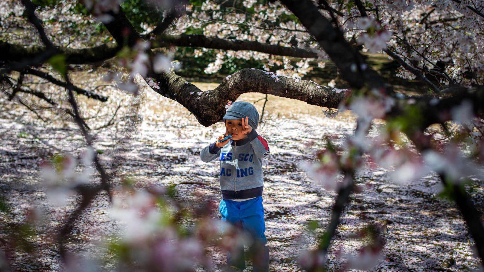 ...und hilft uns zu bewahren, was sonst vielleicht vergessen wird.