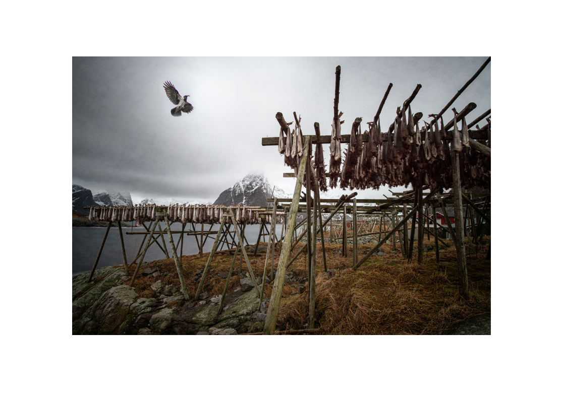 Screenshot 2026-03-05 at 16.16.52.png