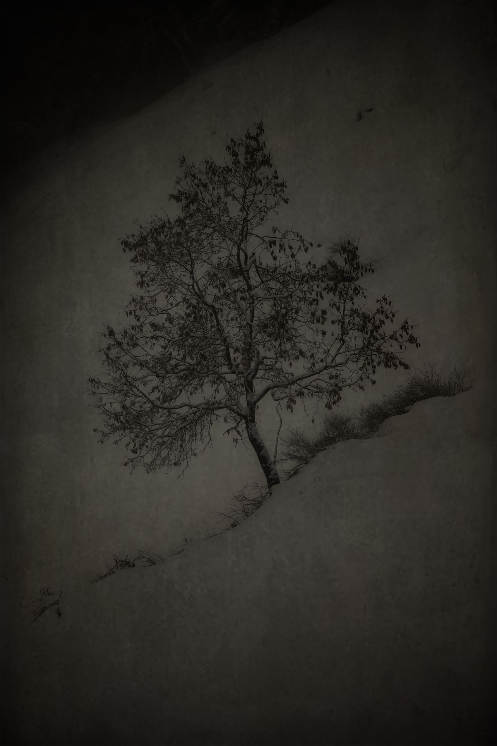 DSC_4715-Edit.jpg