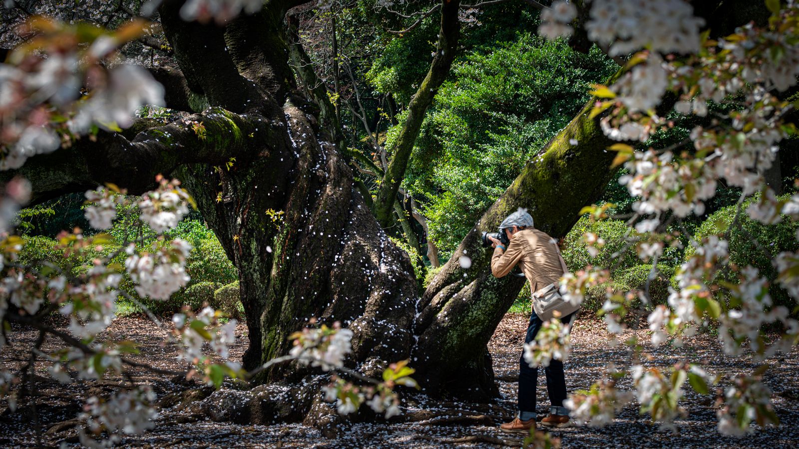...und um uns für einmal wieder ganz still und friedlich werden.