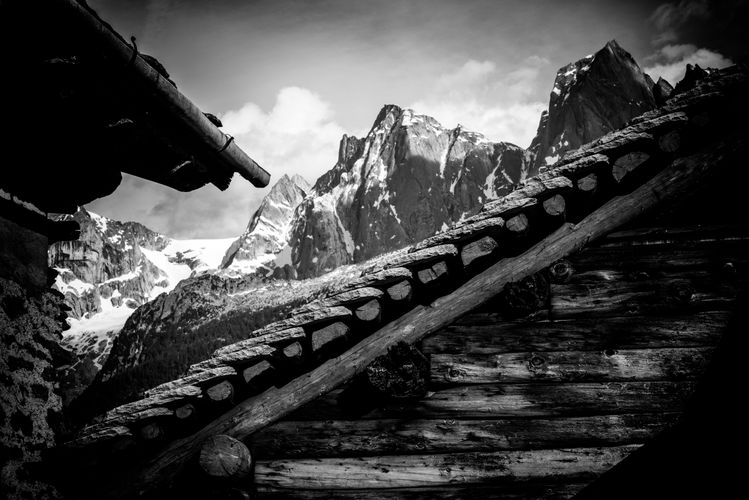 _DSC3888.jpg