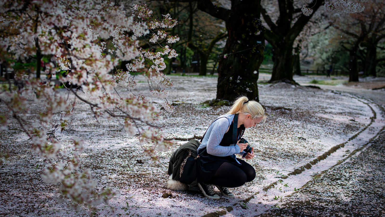 Und ehe wir uns versehen...