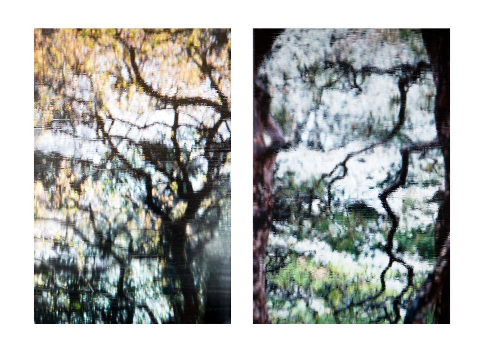 In The Shadow Of The Cherry Blossom - Diptych II