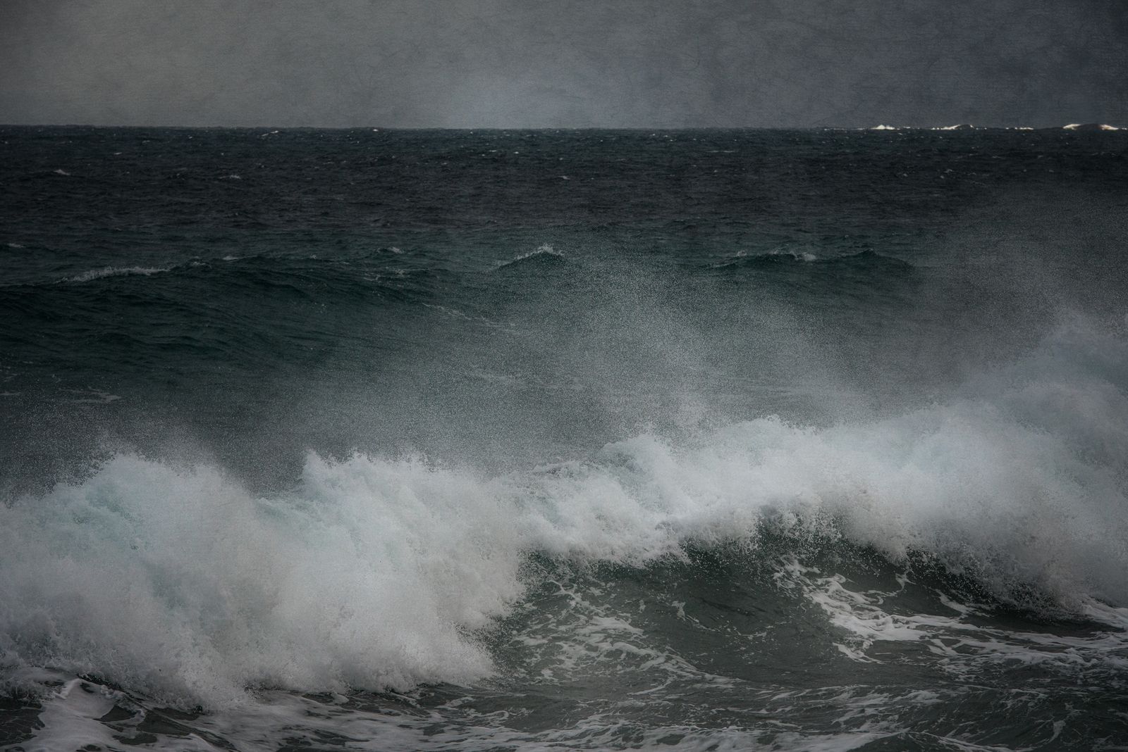 _DSC4532-Edit copy.jpg