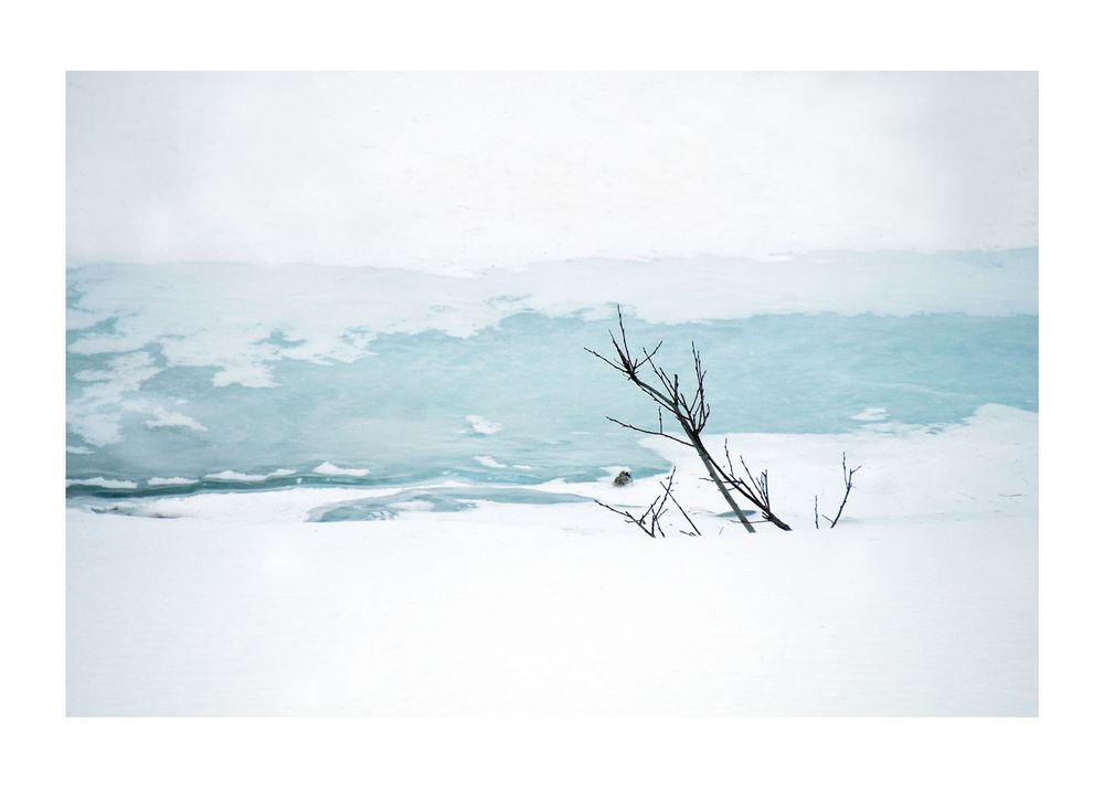 St. Moritz Lake: Icy Circumstances