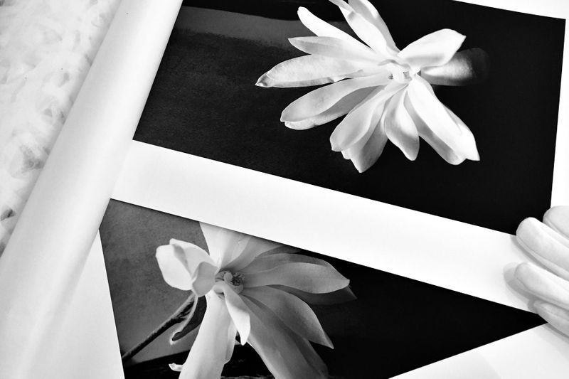 Printing2.jpg