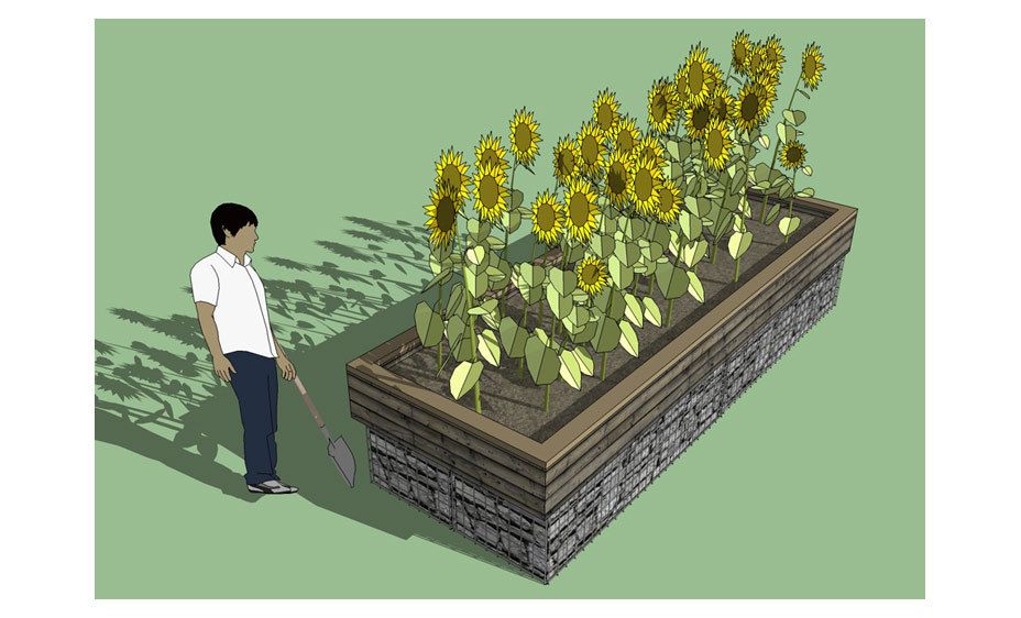 Easy access for all gardners including ADA accessibility 1leaf_center_final_5