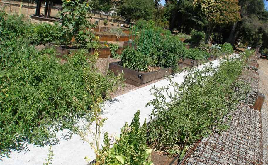 LEAF Center, July 2015 1r3