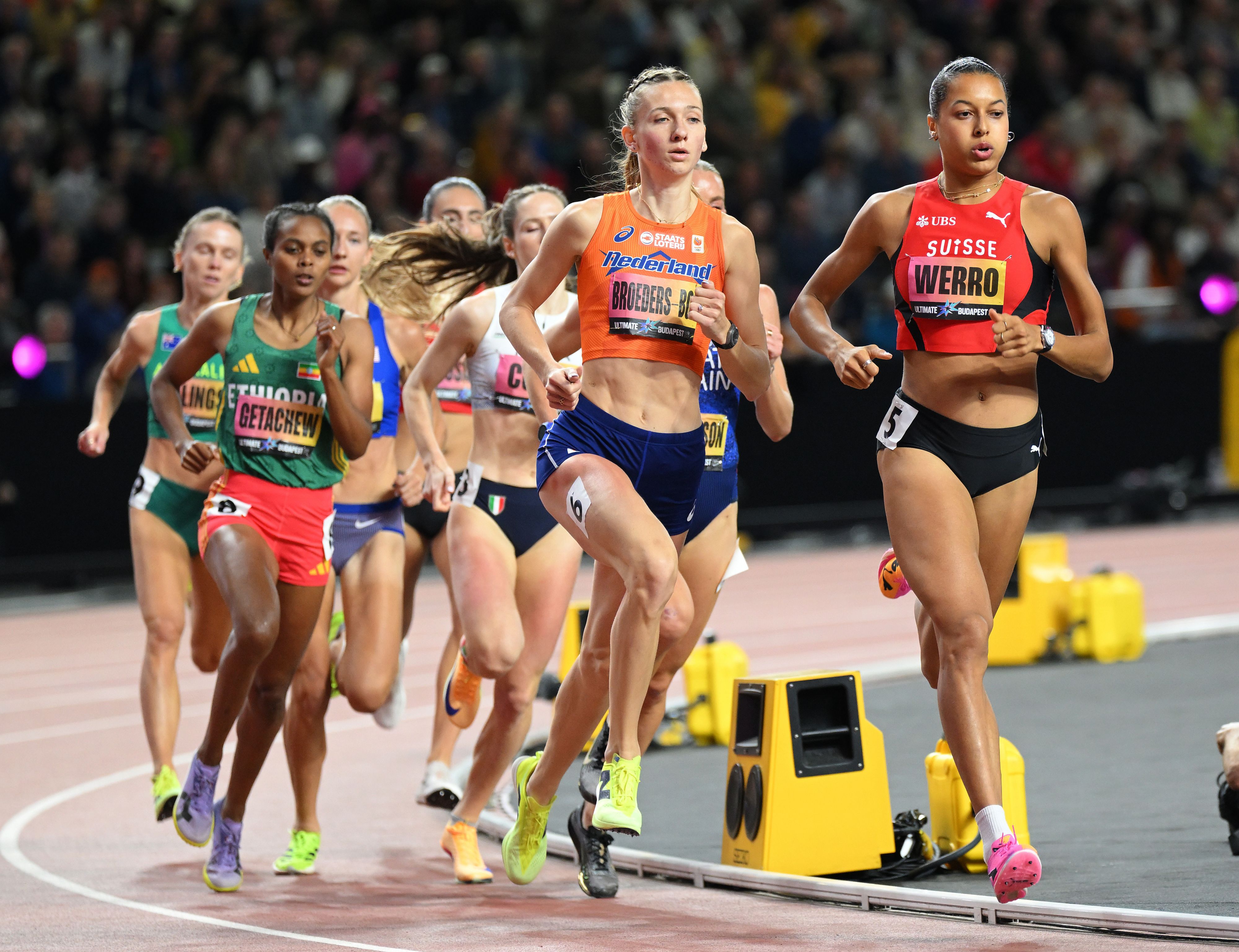 werro 800w budapest utimate champ 26  day 2 jeff cohen photo  5610 copy.jpg