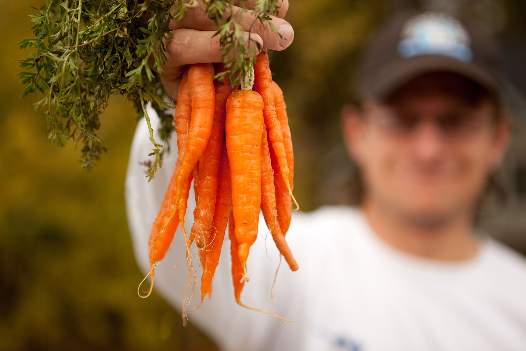 1farmer_carrots_copy.jpg