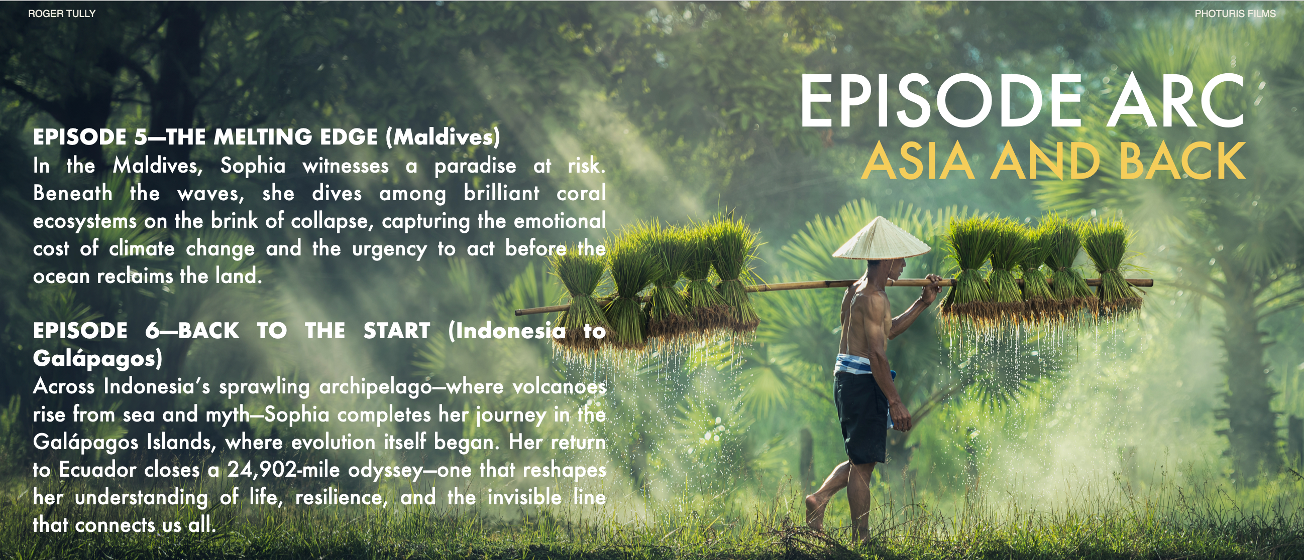 ZL new creative deck 06.png